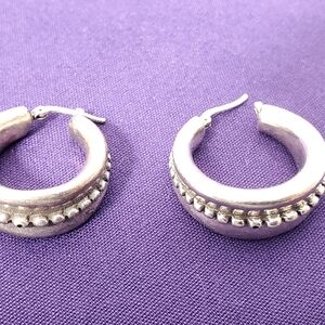 Elegant Silver Hoop Earrings